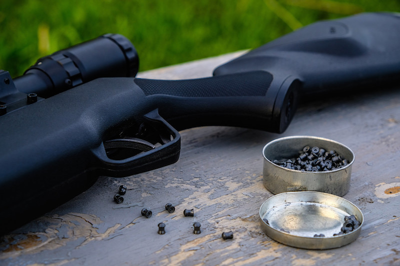w1 Quietest Air Rifle - Top 23 Silent Guns for Hunting (Reviews and Buying Guide 2022)