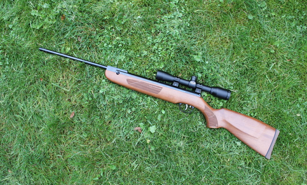 50s Garden Rescue: Best Air Rifles For Squirrels (Reviews & Buying Guide 2022)