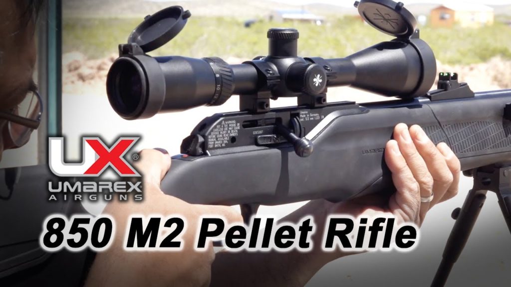 82 Best Air Rifles for Pest Control - Top 10 effective guns for the money (Reviews and Buying Guide 2022)