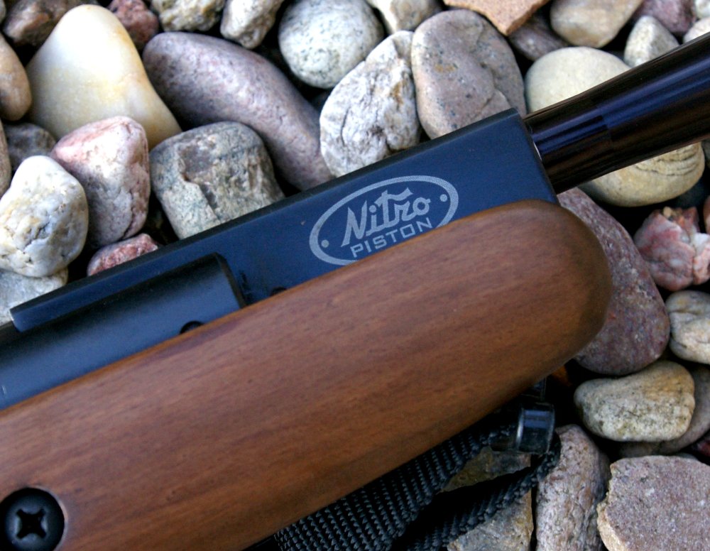 T4 Best .22 Air Rifles - Top 11 fantastic guns for the money (Reviews and Buying Guide 2022)