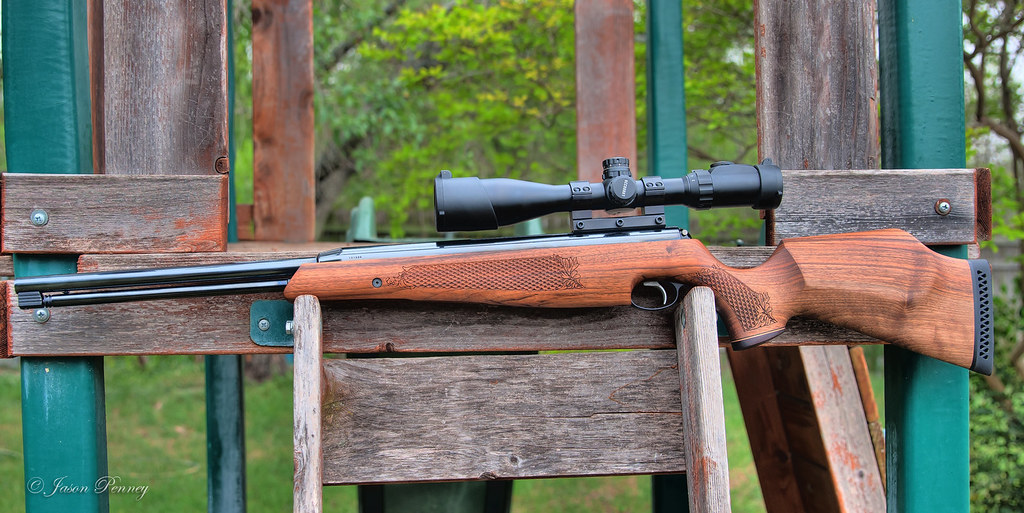 a22 Garden Rescue: Best Air Rifles For Squirrels (Reviews & Buying Guide 2022)