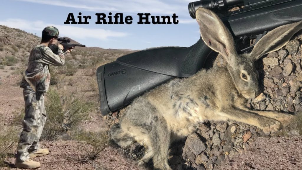 air 1 The Bunny Buster: Best Air Rifle For Rabbits (Reviews and Buying Guide 2022)