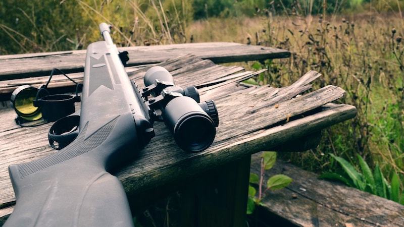 b1 2 Best Air Rifles for Hunting (Reviews and Buying Guide 2022)