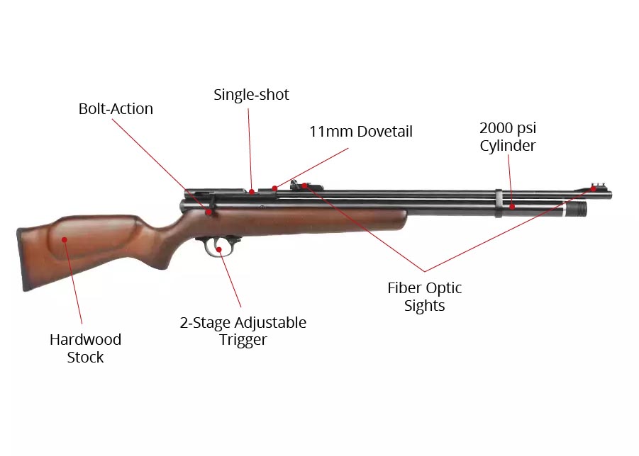 b2 1 Best Air Rifles Under $200 - Top 5 budget guns for the money 2022 (Reviews and Buying Guide)