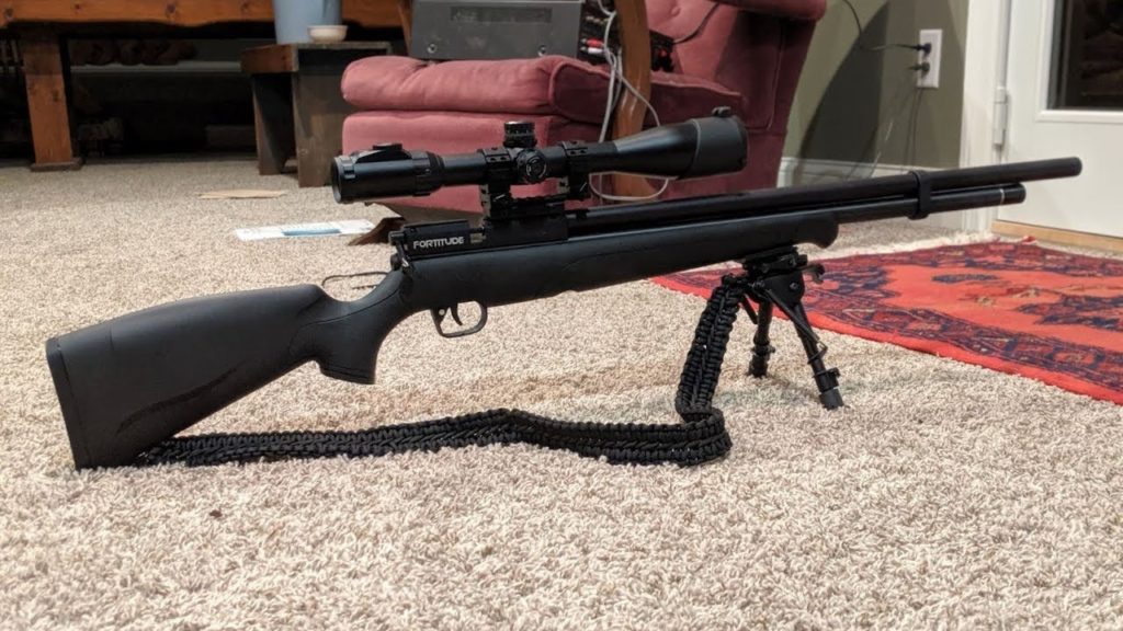 f1 Quietest Air Rifle - Top 23 Silent Guns for Hunting (Reviews and Buying Guide 2022)