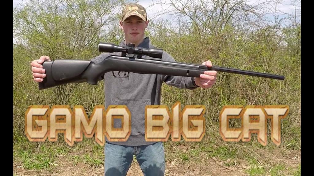 gamo big cat 1250 air rifle