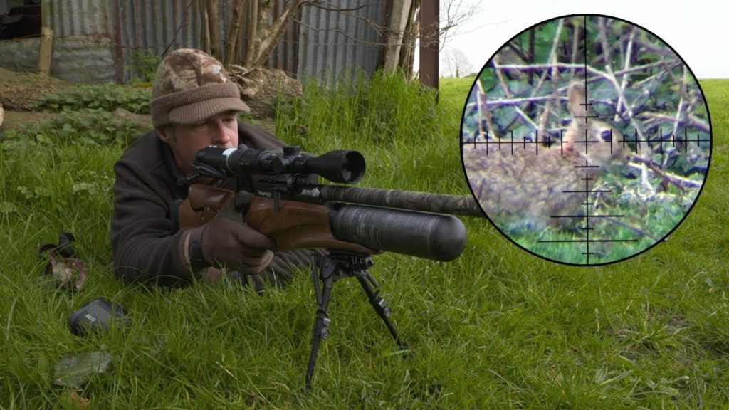 rabbit 1 The Bunny Buster: Best Air Rifle For Rabbits (Reviews and Buying Guide 2022)