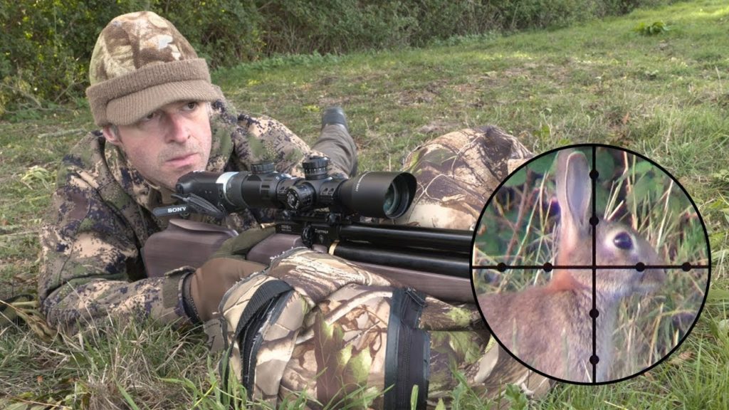 rabbit3 1 The Bunny Buster: Best Air Rifle For Rabbits (Reviews and Buying Guide 2022)