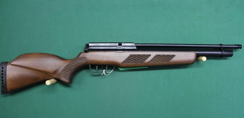 the gamo coyote whisper is an excellent purchase for beginners and intermediate shooters