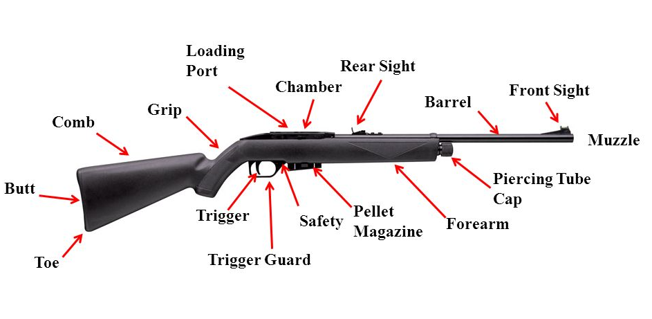 Air gun 101: Everything you need to know about air rifle accuracy